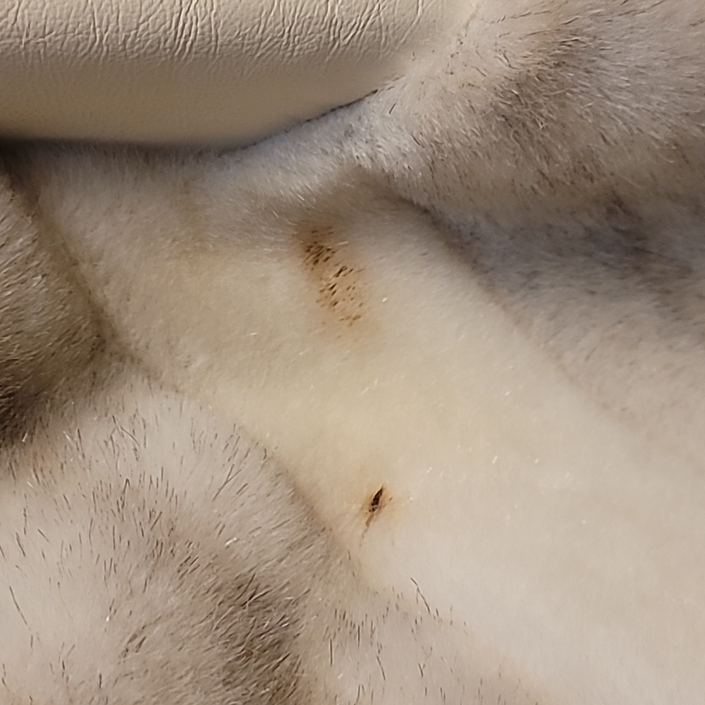Vintage Fur White and Gray Coat - Picture 3 of 8
